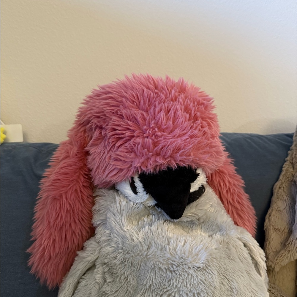 Pink Bunny Ears Hat